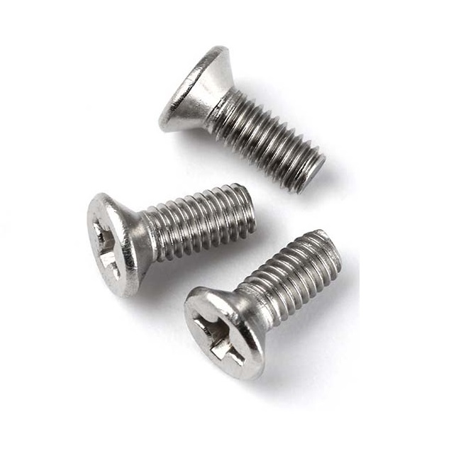 Stainless Steel Screws