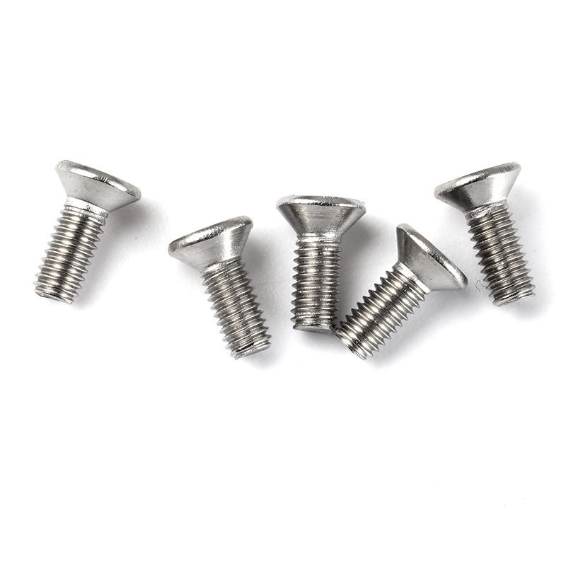 Stainless Steel Screws